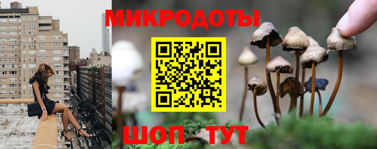 Галлюциногенные грибы Psilocybine cubensis  Вход с VPN  Галлюциногенные грибы Magic Shrooms  Коряжма 