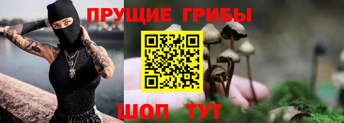 Псилоцибиновые грибы Cubensis Коряжма